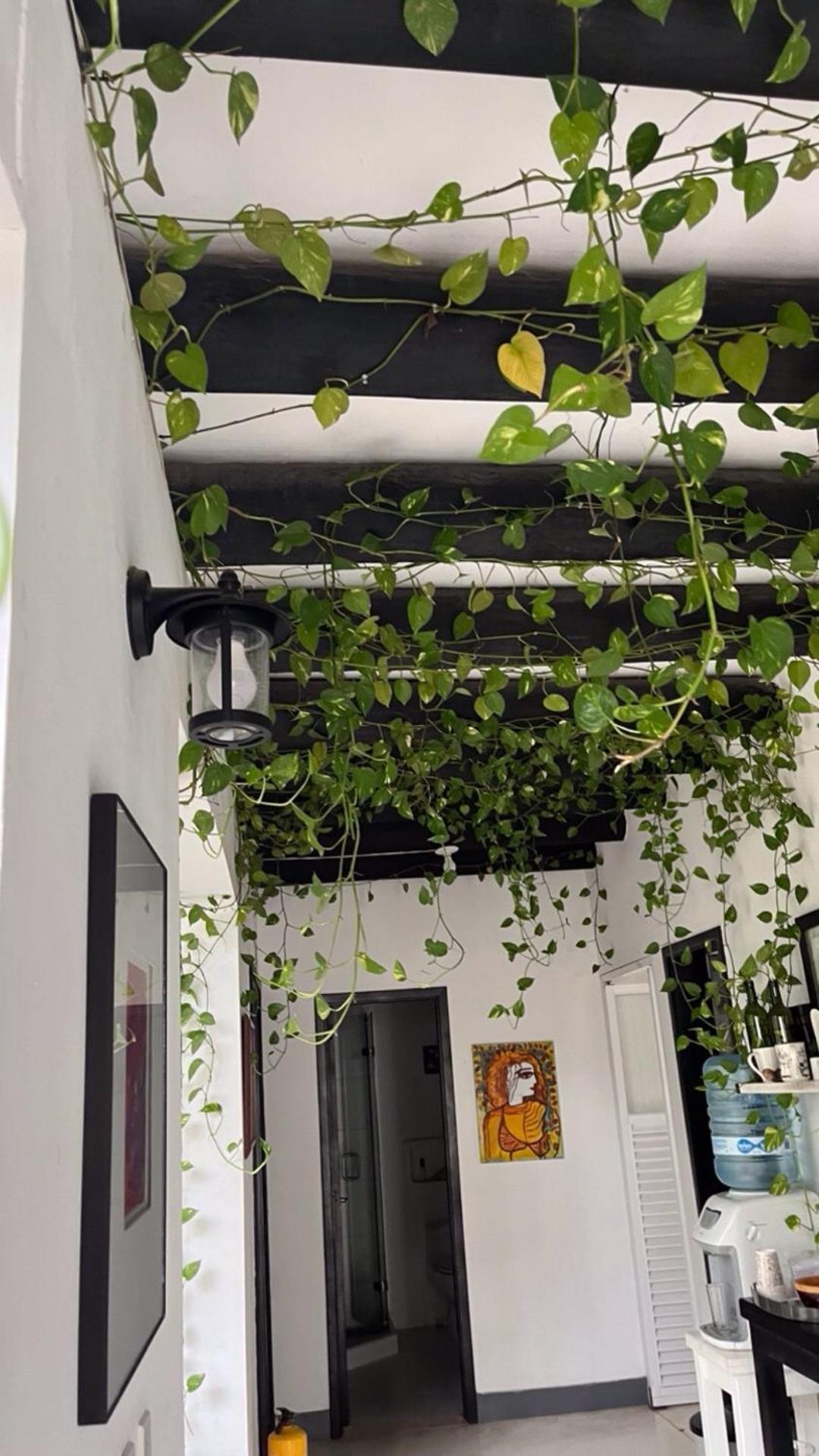 Casa Ines Hotel ซันตามาร์ตา ภายนอก รูปภาพ